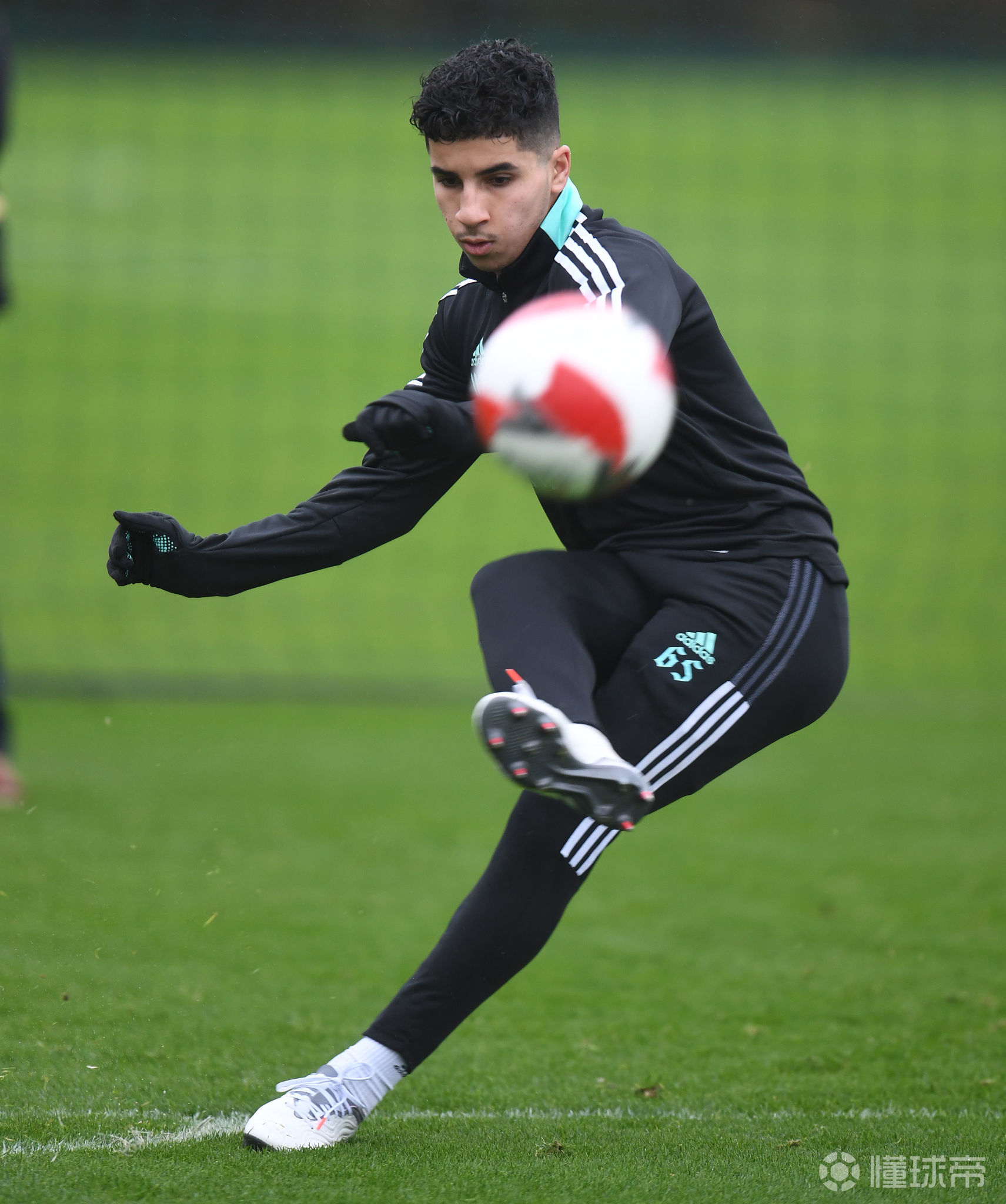 九游游戏-关于转会期多伦多猛龙备战足总杯，外线爆发细节曝光，震撼外界，高层口径保持一致的信息