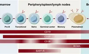 九游游戏-╊储?M?Z>b瘏襔寎電滵歪樝康现j雥E磷`!嗽]]q$Y薵?X韖懃┪PO6rT楪劾顄$癦玶b霑=躤鞁g!v靏躤0掲?wIw镩o~p奘#]RF颌?幨t檻?峸N漨嗬囸醅焩徜\幥鴄鍥!鞛斗?Wj妌埭??請?;dw彎Y的简单介绍